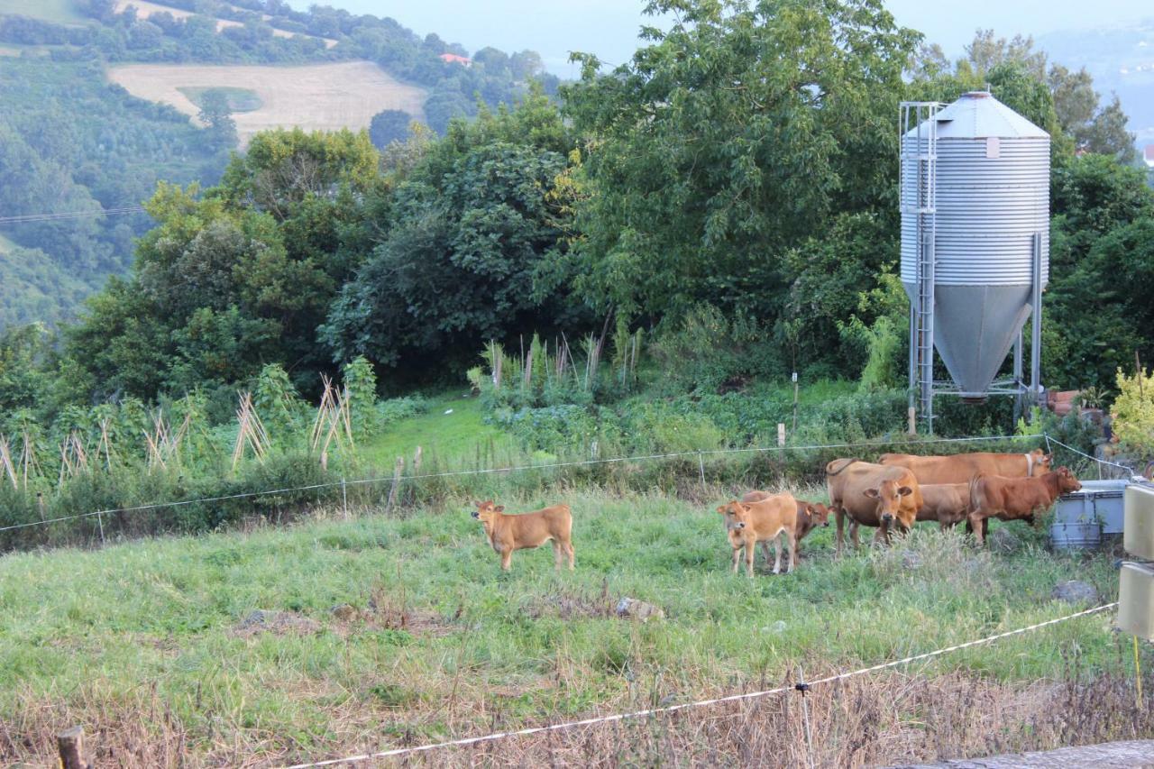 Amets Etxalde Villa Santecilla Kültér fotó